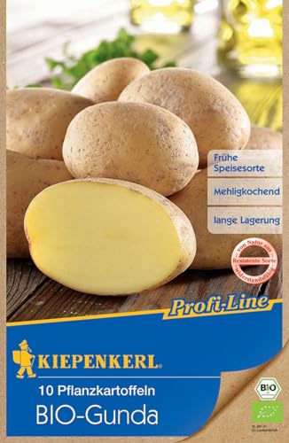Kiepenkerl BIO - Pflanzkartoffeln Gunda (10 Stück) von Kiepenkerl