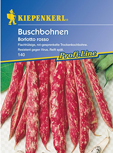Kiepenkerl Buschbohnen - Borlotto rosso von Kiepenkerl