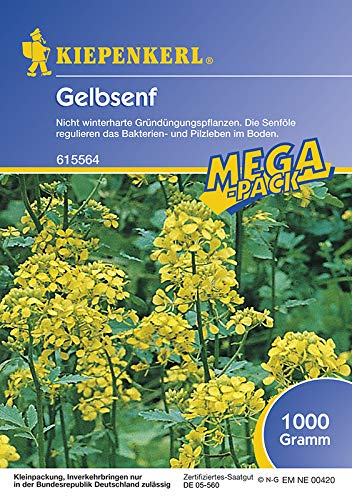 Kiepenkerl Gelbsenf, 1 kg Kiepenkerl Gelbsenf, 1 kg von Kiepenkerl