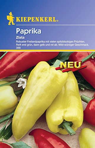 Kiepenkerl Paprika Zlata von Kiepenkerl