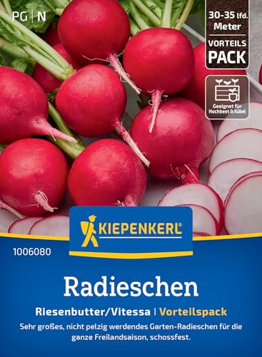 Kiepenkerl Radieschensamen Riesenbutter/Vitessa 100608 Kiepenkerl Radieschensamen Riesenbutter/Vitessa 100608 von Kiepenkerl