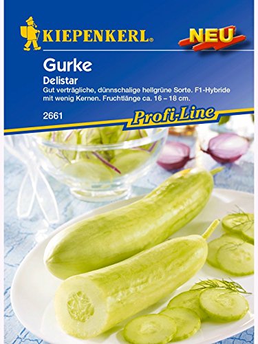 Kiepenkerl Salatgurke Delistar Saatgut Kiepenkerl Salatgurke Delistar Saatgut von Kiepenkerl
