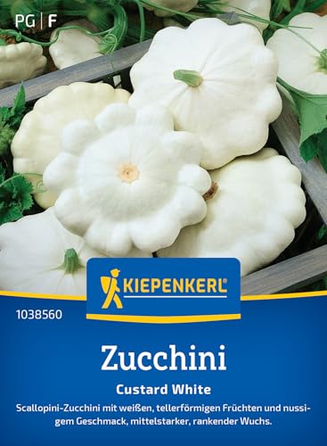 Kiepenkerl Zucchinisamen Custard White 1038560 - Scallopini Zucchini - weiß - tellerförmig - nussiger Geschmack - Samen Gemüse, Saatgut, Gemüsepflanzen von Kiepenkerl