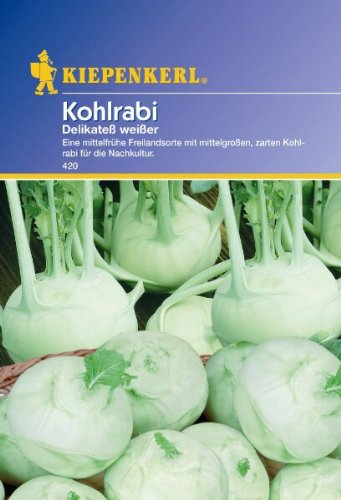 Kohlrabi Delikatess weisser Kohlrabi Delikatess weisser von Kiepenkerl