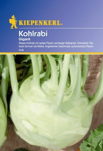 Kohlrabi Gigant weiss Kohlrabi Gigant weiss von Kiepenkerl