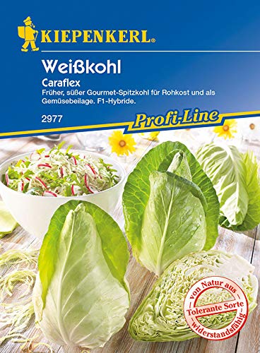 Kohlsamen - Spitzkohl Caraflex von Kiepenkerl Kohlsamen - Spitzkohl Caraflex von Kiepenkerl von Kiepenkerl