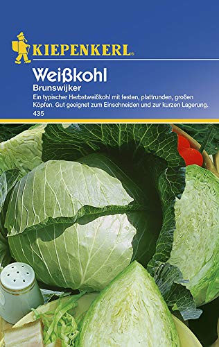 Kohlsamen - Weißkohl Brunswijker von Kiepenkerl von Kiepenkerl