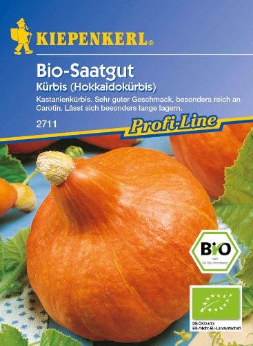 Kürbis (Hokkaidokürbis) Uchiki-Kuri (Bio-Saatgut) von Kiepenkerl