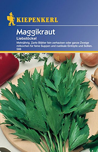 Maggikraut - 1 Packung von Kiepenkerl