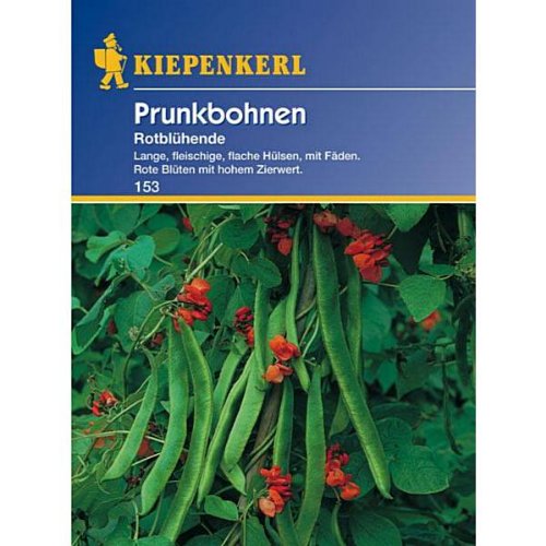 Prunkbohnen, 'Rotblühende' von Kiepenkerl
