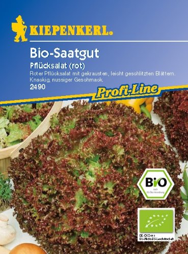 Salat, Pflücksalat rot (BIO) von Kiepenkerl