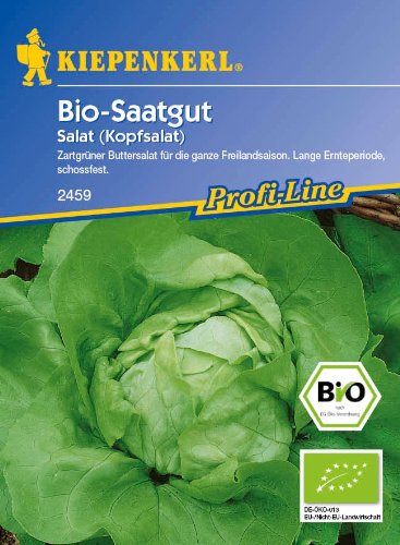 Salat (Kopfsalat) Ovation (Bio-Saatgut) von Kiepenkerl