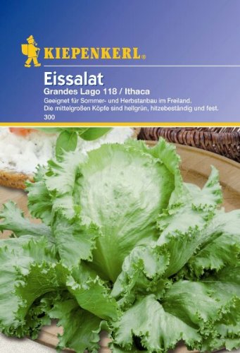 Salat Eissalat Grandes Lago118 Ithaca Salat Eissalat Grandes Lago118 Ithaca von Kiepenkerl