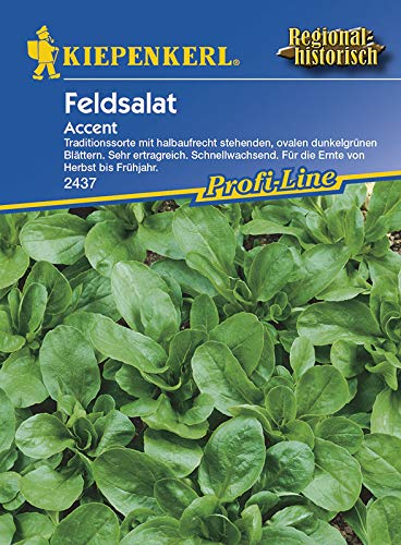 Salatsamen - Feldsalat Accent von Kiepenkerl Salatsamen - Feldsalat Accent von Kiepenkerl von Kiepenkerl