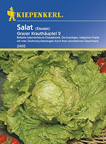 Salatsamen - Kopfsalat Grazer Krauthäuptel 2 von Kiepenkerl Salatsamen - Kopfsalat Grazer Krauthäuptel 2 von Kiepenkerl von Kiepenkerl