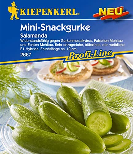Snackgurke Salamanda F1 Gurkensamen 1 Portion Samen Snackgurke Salamanda F1 Gurkensamen 1 Portion Samen von Kiepenkerl