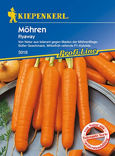 Sommer-Möhren, Flyaway, 1 Packung Sommer-Möhren, Flyaway, 1 Packung von Kiepenkerl