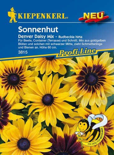 Sonnenhut Denver Daisy -Mix von Kiepenkerl