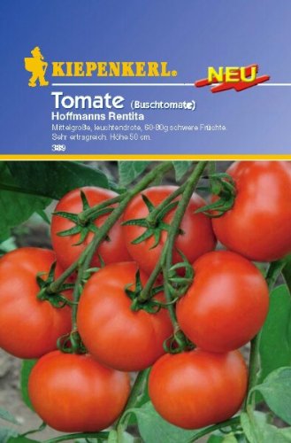 Tomate Buschtomate Hoffmanns Rentita von Kiepenkerl