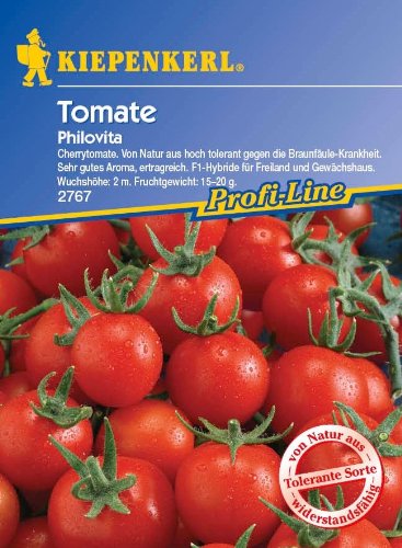 Tomate Philovita - Cherry Tomaten von Kiepenkerl