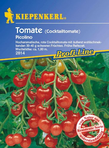 Tomate Picolino ( Cocktailtomate ) von Kiepenkerl