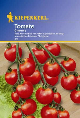 Tomaten Cherrola F1 von Kiepenkerl