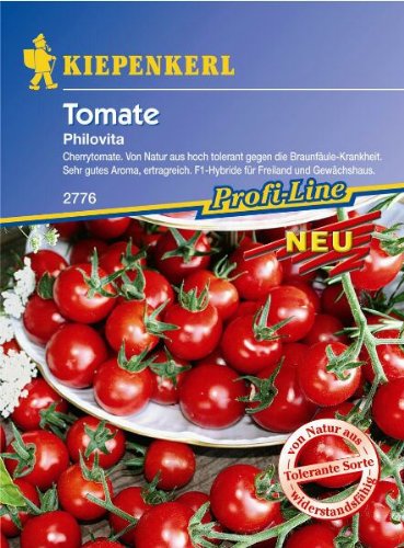 Tomaten Cherrytomate Philovita F1 braunfäuletolerant von Kiepenkerl
