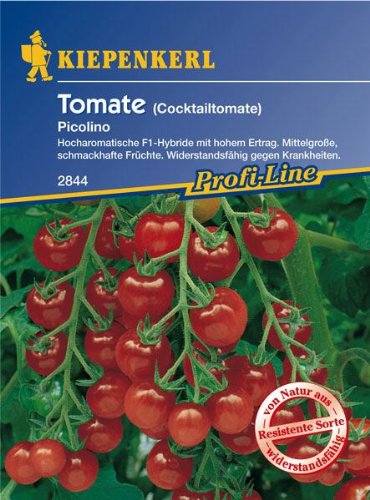 Tomaten Cocktailtomaten Picolino resistent von Kiepenkerl