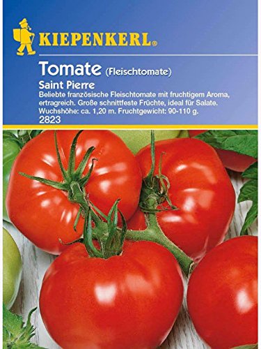 Tomaten Fleischtomate Saint Pierre von Kiepenkerl