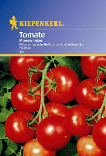 Tomaten Moneymaker Tomaten Moneymaker von Kiepenkerl