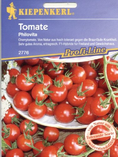Tomaten Philovita F1 (2767) Portion von Kiepenkerl