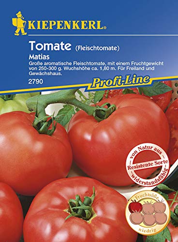 Tomatensamen - Tomate Matias F1 von Kiepenkerl von Kiepenkerl