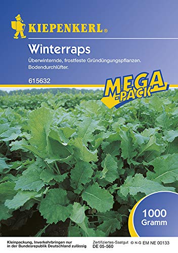 Winterraps 1 Kg Winterraps 1 Kg von Kiepenkerl