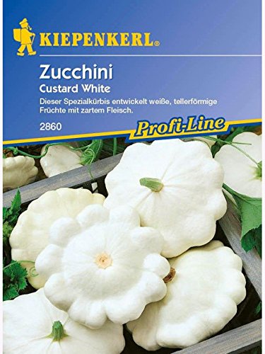 Zucchini Custard white Ufo weiss Zucchini Custard white Ufo weiss von Kiepenkerl