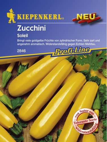 Zucchini Soleil von Kiepenkerl