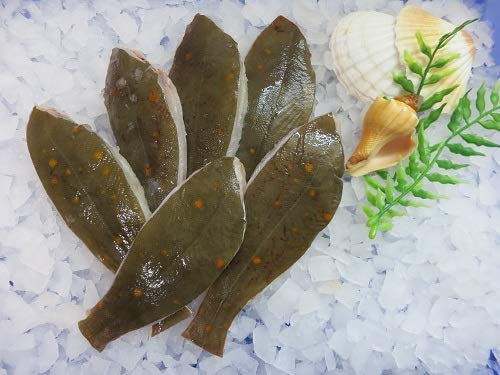 Klaassen Scholle, Scholle (ohne Seitengräte), fangfrisch, vakuumiert, 1000g Klaassen Scholle, Scholle (ohne Seitengräte), fangfrisch, vakuumiert, 1000g von IHR FACHGESCHÄFT KLAASSEN