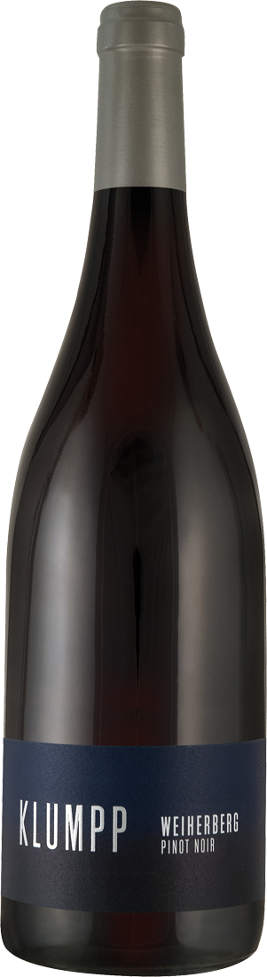 Klumpp Pinot Noir Bruchsaler Weiherberg 2020 von Klumpp