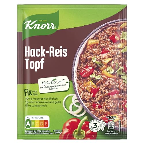 Knorr Fix Würzmischung Hack-Reis Topf für ein leckeres Gericht mit Hackfleisch ohne geschmacksverstärkende Zusatzstoffe 23x 49 g von Knorr