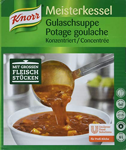 Knorr Gulaschsuppe konzentriert (mit hohem Fleischanteil) 1er Pack (1 x 3kg) von Knorr