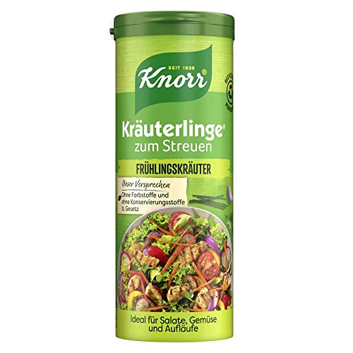 Knorr Kräuterlinge Gewürzmischung für Gemüse (Salate oder Aufläufe Frühlingskräuter vegan) 1 x 60 g von Knorr