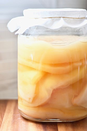 Kombuchaorganic® Großer Jun-Tee Scoby Grüntee und Honig-Kombucha von Kombuchaorganic®, qualitätsgeprüft, hervorragende und einzigartige Qualitätskulturen von Kombuchaorganic