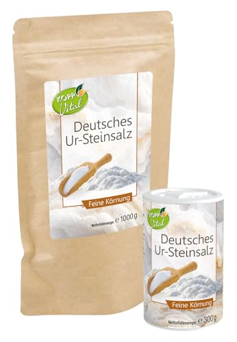 2er-Set KOPP Vital® Deutsches Ur-Steinsalz 1300 g - Streudose & Nachfüllbeutel - Feine Körnung - ohne Gentechnik, Vegan, Zusatzstofffrei - Salz von Kopp Vital