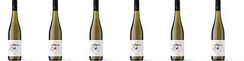 6x K°rbus Silvaner Escherndorfer Lump 2020 - Korbus Wine, Franken - Weißwein von Korbus Wine