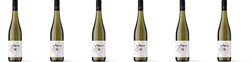 6x K°rbus Silvaner Escherndorfer Lump 2021 - Korbus Wine, Franken - Weißwein von Korbus Wine