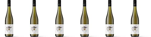 6x K°rbus Silvaner Thüngersheimer Johannisberg 2021 - Korbus Wine, Franken - Weißwein von Korbus Wine