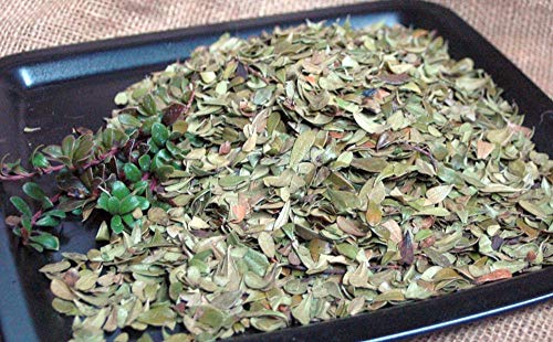 Krauterino24 - Bärentraubenblätter ganz, Menge:100g Krauterino24 - Bärentraubenblätter ganz, Menge:100g von Krauterino24