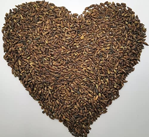 Krauterino24 - Birkenknospen ganz, Menge:250g Krauterino24 - Birkenknospen ganz, Menge:250g von Krauterino24