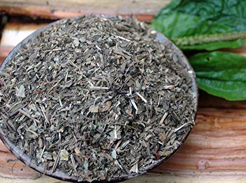 Krauterino24 - Breitwegerichblätter geschnitten, Menge:500g Krauterino24 - Breitwegerichblätter geschnitten, Menge:500g von Krauterino24