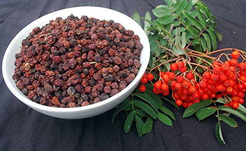 Krauterino24 - Ebereschenbeeren ganz, Menge:1000g Krauterino24 - Ebereschenbeeren ganz, Menge:1000g von Krauterino24