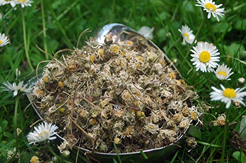 Krauterino24 - Gänseblümchen ganz, Menge:1000g von Krauterino24